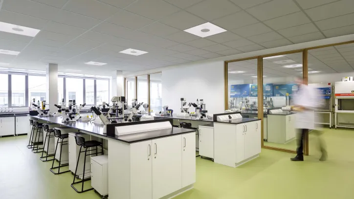Pointform in Lab